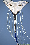 32 FESTIVAL CERVIA 2012 - 238